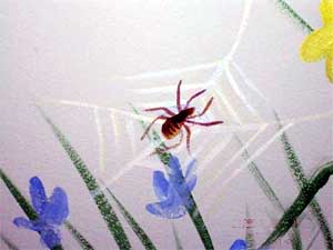 faux finishing painting murals hand painted decorative finishes